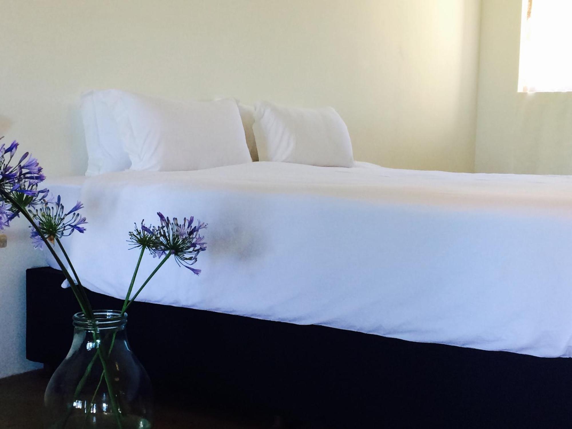 Seven Fountains Farm Hotel Grahamstown Eksteriør billede